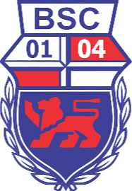 里奧內格羅老鷹