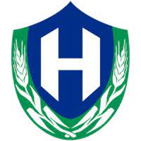 全新一汽豐田RAV4前景分析