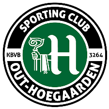 解析紅旗全新中型SUV HS5