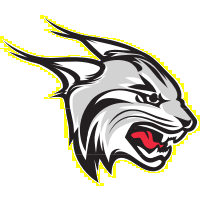 街拍奧迪新Q7:Q8同款八邊形格柵