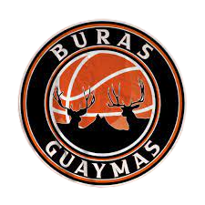 斷鴻悲。隴月低。淚濕征衣悄。歲華老。