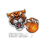 文化中國行|湖北荊州:技術創新為有機質文物全生命周期“護航”