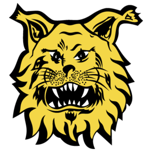 天生麗質難自棄,一朝選在君王側。