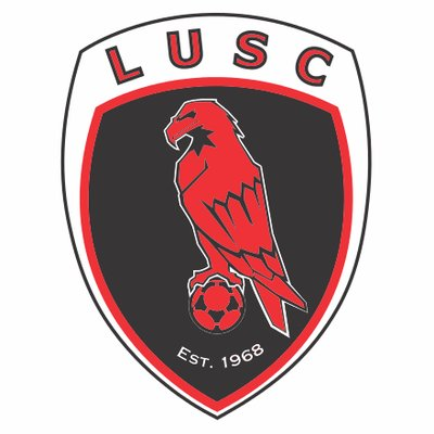 日本天皇退位演說暗藏一顆釘子 這點被指極為罕見