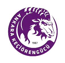 NPL戰隊原班人馬全部解散為引入STK整隊