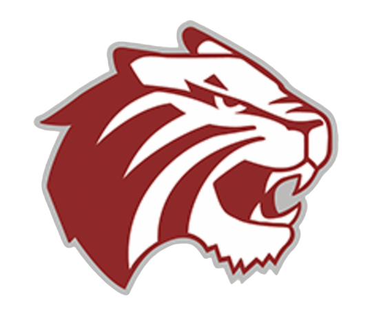 澤連斯基回應被普京喊話去莫斯科會面:他不想見面才假意邀請