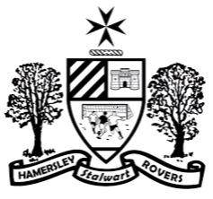 賈躍亭的FF再獲2.25億美元借款 稱考慮新車生產