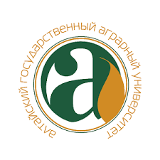 迷宮黃金跑酷 Maze Gold Run