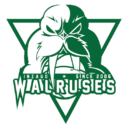 庫克:降價減稅之后,iPhone在中國銷售開始復蘇