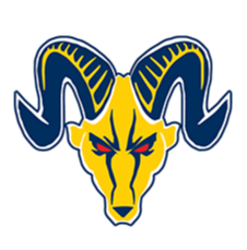 市委十三屆七次全會召開,描繪