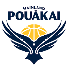 馬鞍山"套路貸"犯罪集團落網 11名犯罪嫌疑人被抓獲