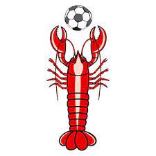 2-0領(lǐng)先3-2拒絕日本逆轉(zhuǎn)!巴西20小時(shí)內(nèi)連戰(zhàn)兩場(chǎng)5局 31歲加比35分