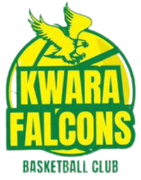 獨行俠今夏選一人輔佐東契奇