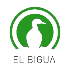 【新思想引領(lǐng)新征程】同心協(xié)力 扎實(shí)推動(dòng)粵港澳大灣區(qū)向一流灣區(qū)邁進(jìn)