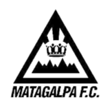 浣熊來了 Raccoon Arrival